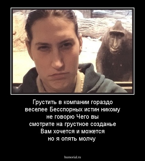 Грустить в компании гораздо веселее
Бесспорных истин никому не говорю
Чего вы смотрите на грустное созданье
Вам  хочется и можется но я опять молчу
