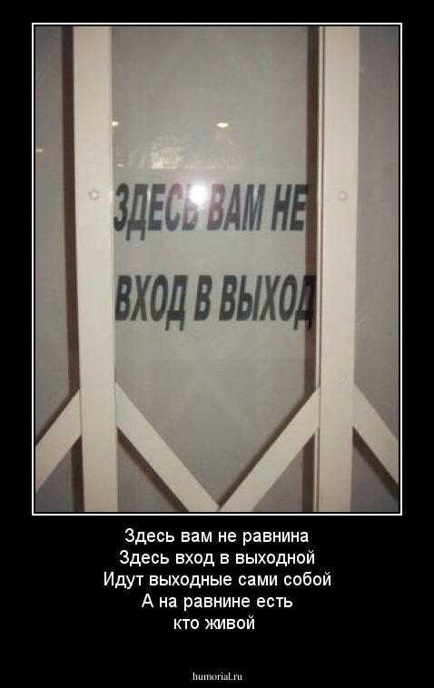 Здесь вам не равнина
Здесь вход в выходной
Идут выходные сами собой
А на равнине есть кто живой
