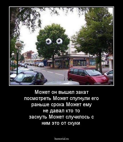 Может он вышел  закат посмотреть
Может спугнули его раньше срока
Может ему не давал кто то заснуть
Может случилось с ним это от скуки
