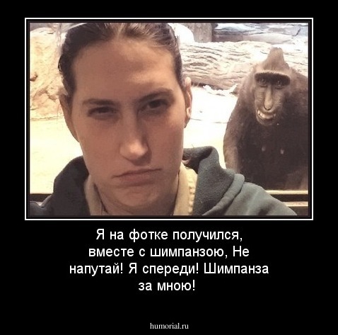 Я на фотке получился, вместе с шимпанзою, Не напутай! Я спереди! Шимпанза за мною!