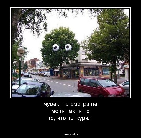 чувак, не смотри на меня так, я не то, что ты курил