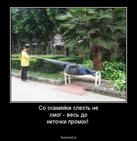 Со скамейки слезть не смог - весь до ниточки промок!