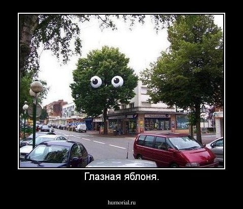 Глазная яблоня.