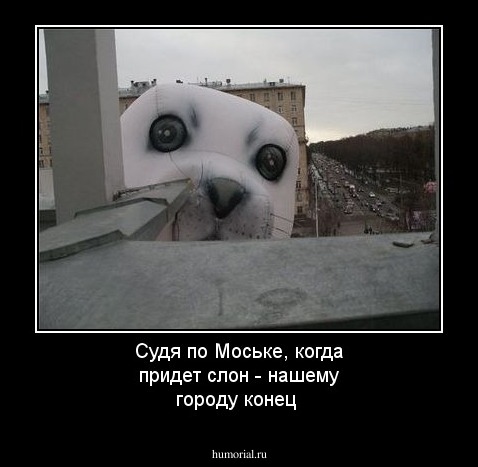 Судя по Моське, когда придет слон - нашему городу конец
