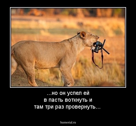 ...но он успел ей в пасть воткнуть и там три раз провернуть...