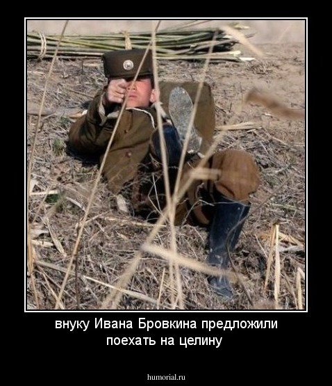 внуку Ивана Бровкина предложили поехать на целину