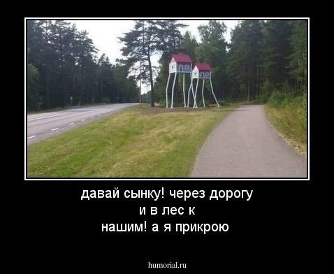 давай сынку! через дорогу и в лес к нашим! а я прикрою\