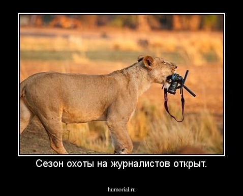 Сезон охоты на журналистов открыт.