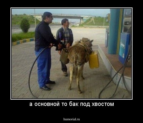 а основной то бак под хвостом