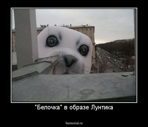 "Белочка" в образе Лунтика