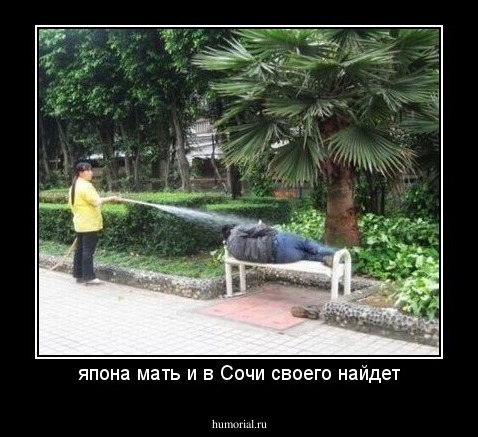 япона мать и в Сочи своего найдет