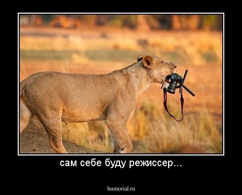 сам себе буду режиссер...