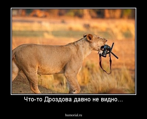 Что-то Дроздова давно не видно...