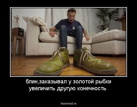 блин,заказывал у золотой рыбки увеличить другую конечность