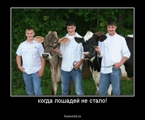 когда лошадей не стало!\