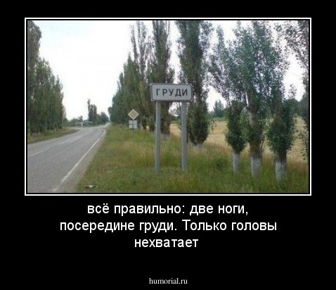 всё правильно: две ноги, посередине груди. Только головы нехватает\