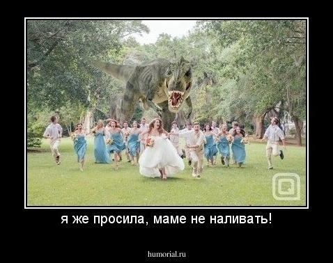 я же просила, маме не наливать!