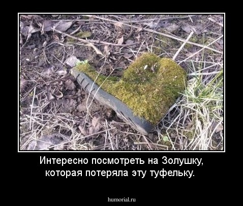 Интересно посмотреть на Золушку, которая потеряла эту туфельку.