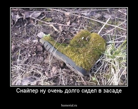Снайпер ну очень долго сидел в засаде