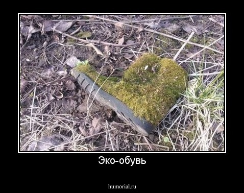 Эко-обувь