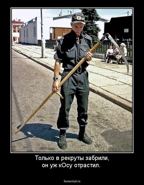 Только в рекруты забрили, он уж кОсу отрастил.