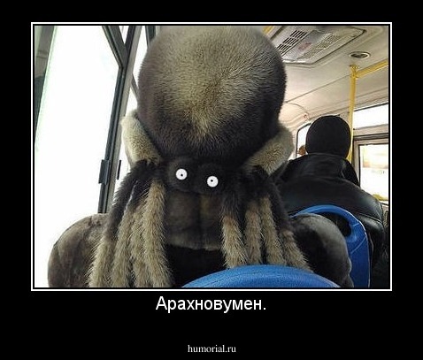 Арахновумен.