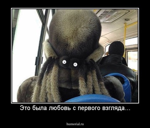 Это была любовь с первого взгляда...