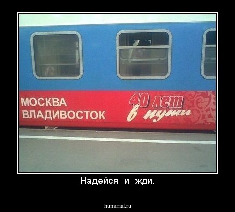Надейся  и  жди.