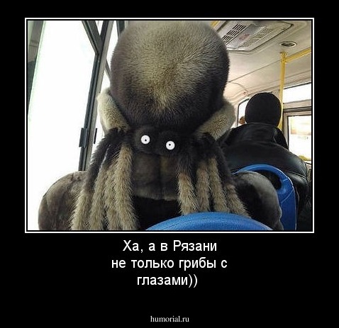Ха, а в Рязани не только грибы с глазами))