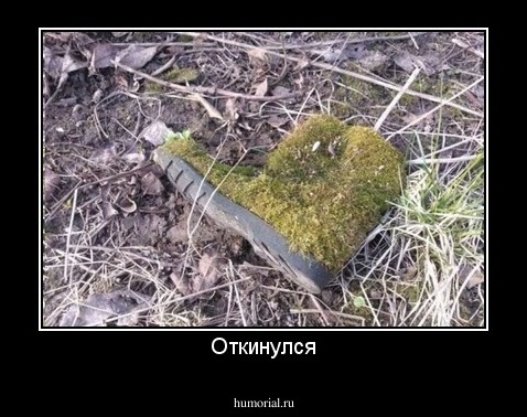Откинулся