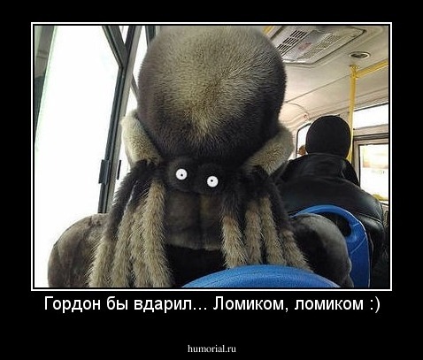 Гордон бы вдарил... Ломиком, ломиком :)