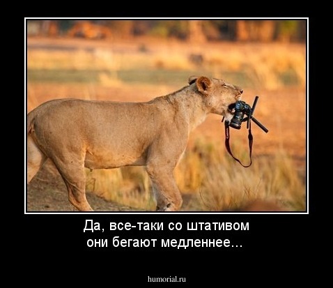 Да, все-таки со штативом они бегают медленнее... 