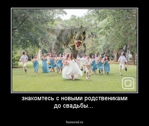 знакомтесь с новыми родствениками до свадьбы...