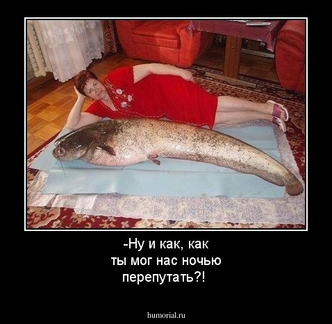 -Ну и как, как ты мог нас ночью перепутать?!