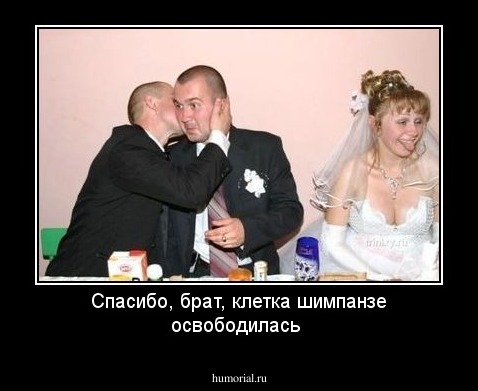 Спасибо, брат, клетка шимпанзе освободилась