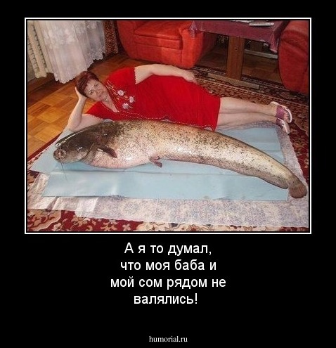 А я то думал, что моя баба и мой сом рядом не валялись!