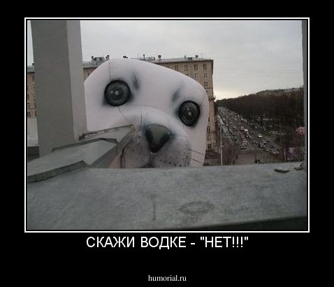 СКАЖИ ВОДКЕ - "НЕТ!!!"
