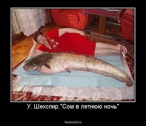 У. Шекспир."Сом в летнюю ночь"
