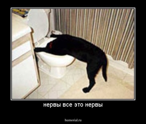 нервы все это нервы