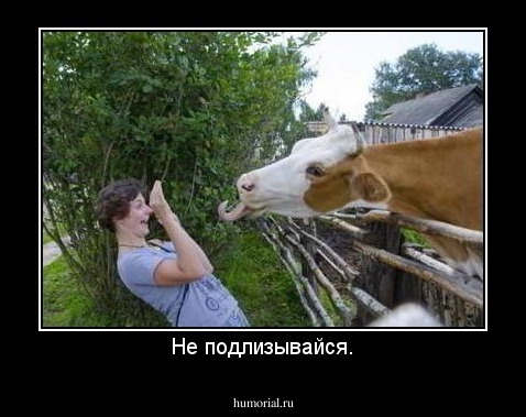 Не подлизывайся.