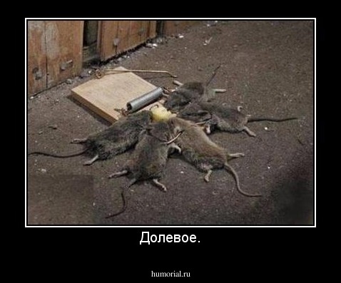 Долевое.