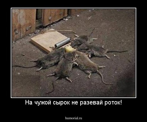 На чужой сырок не разевай роток!