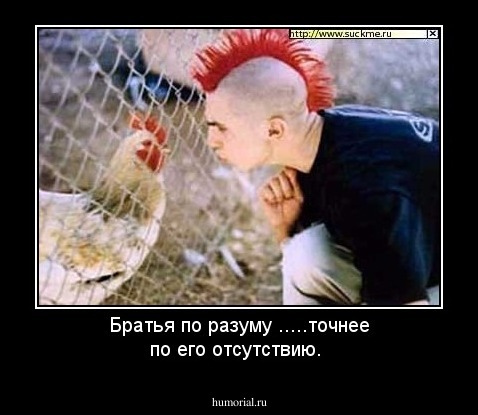 Братья по разуму .....точнее  по его отсутствию.