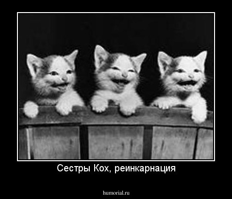 Сестры Кох, реинкарнация