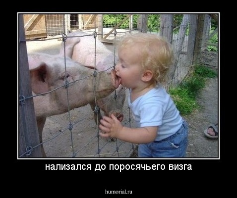 нализался до поросячьего визга