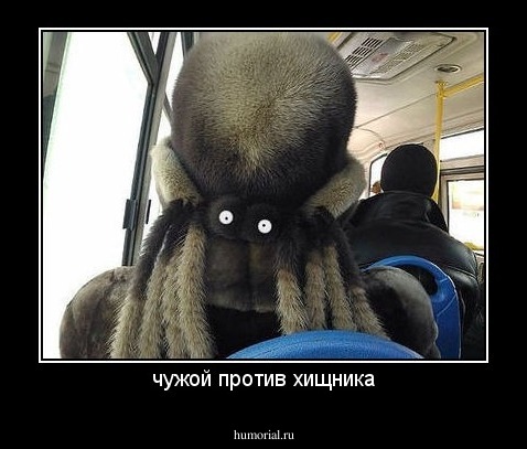 чужой против хищника