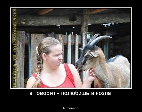 а говорят - полюбишь и козла!