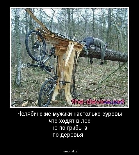 Челябинские мужики настолько суровы что ходят в лес не по грибы а по деревья.