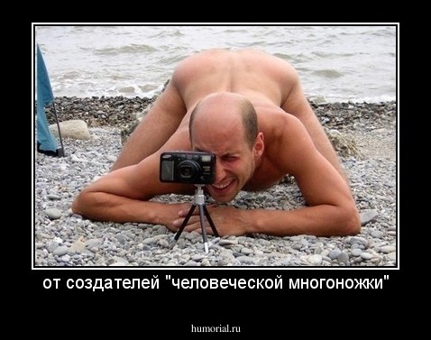 от создателей "человеческой многоножки"
