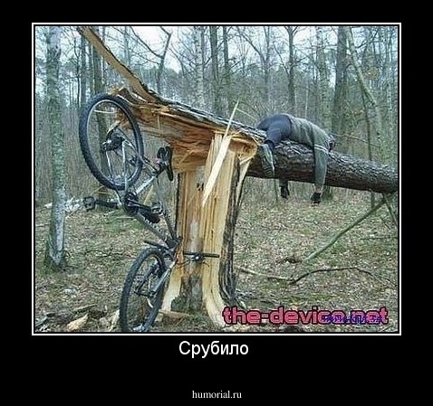Срубило 